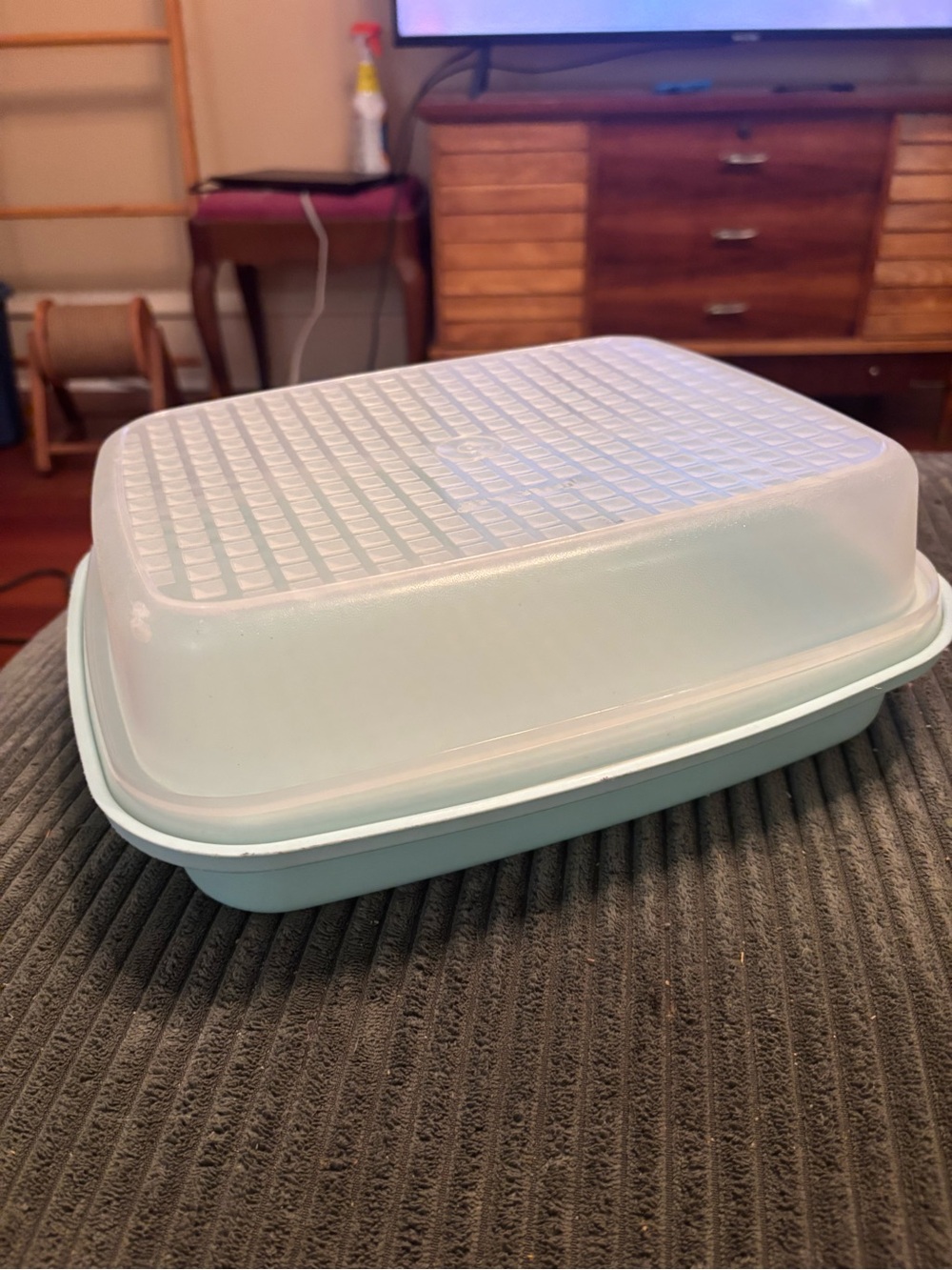 vintage Tupperware Season-Serve Marinating Container